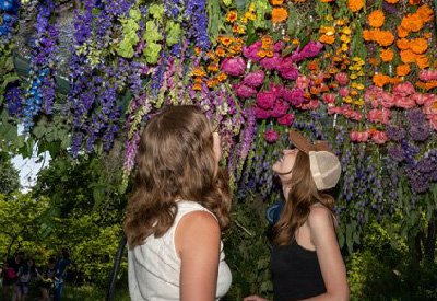 Blooming with Pride 2024 display