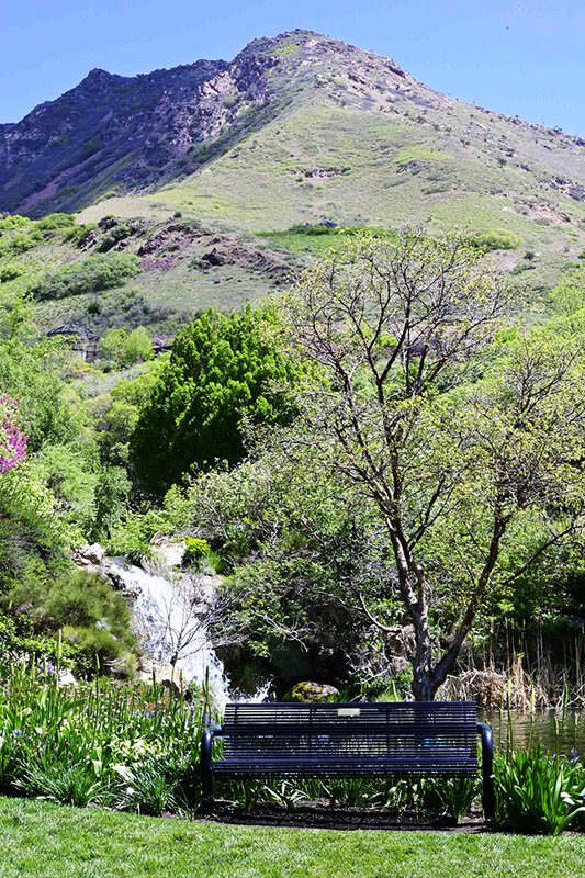 Amphitheater-view-Spring-GLE25