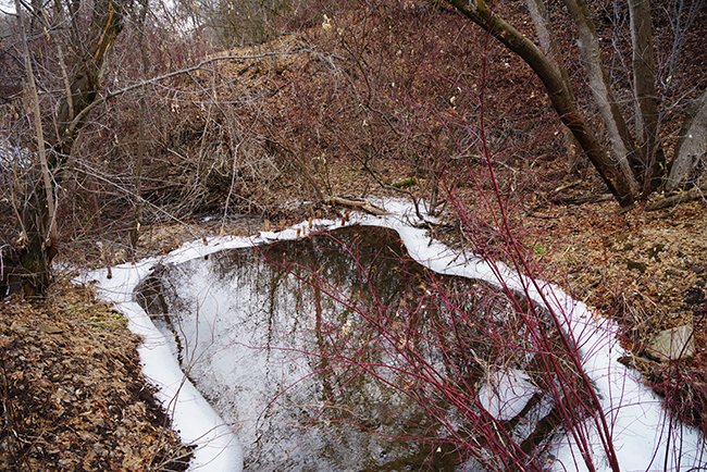 Beaver-Dam-Analog-Winter-HMS25