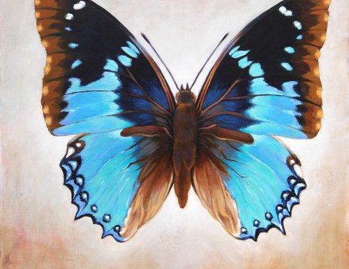 Chase McCleary art exhibit