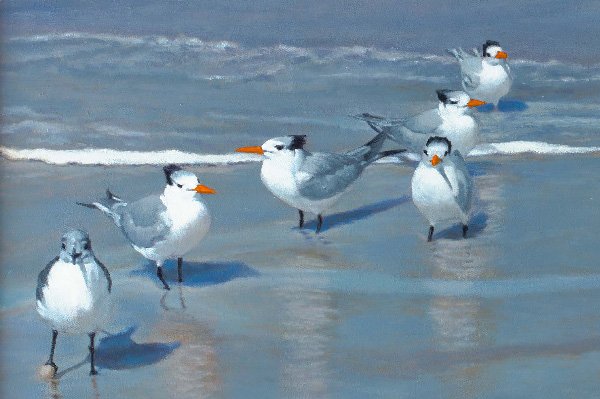 Chase McCleary art Shorebirds painting