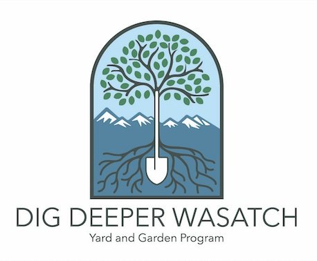 DigDeeperWebLogo