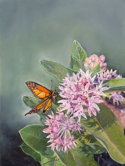 Fancy-Milkweed-and-a-Monarch-Butterfly-400