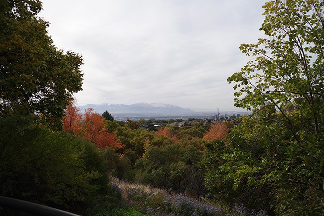 Fragrance-Garden-Overlook-Fall-HMS24