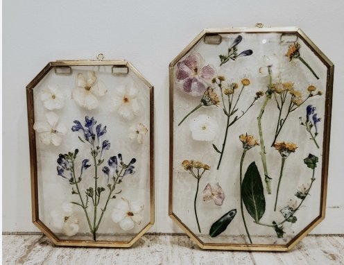 FramedFlowers
