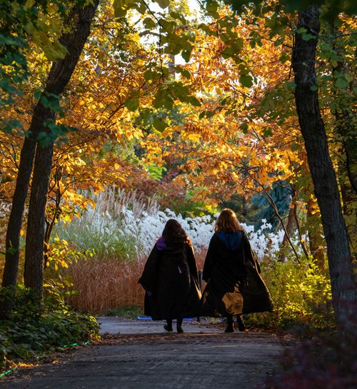 Girls dressed in Halloween costumes at Garden After Dark