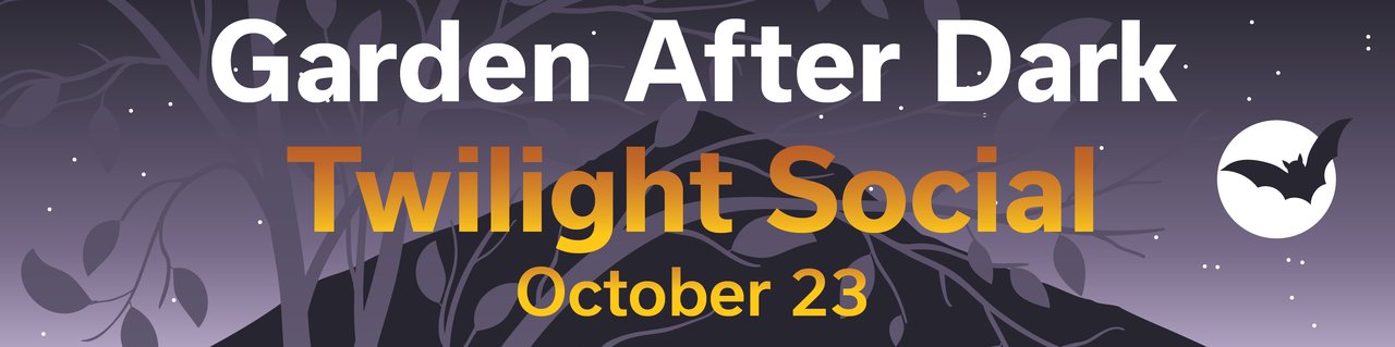 Garden After Dark Twilght Social