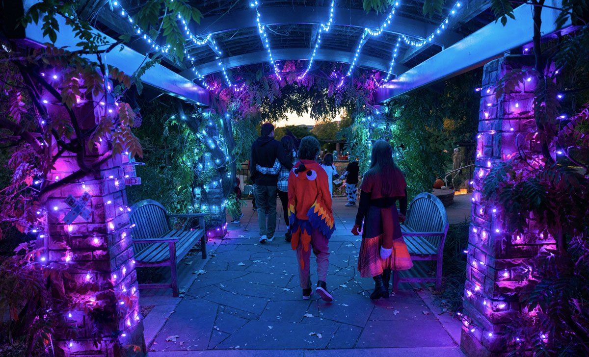 Guests at Garden After Dart at Red Butte Garden