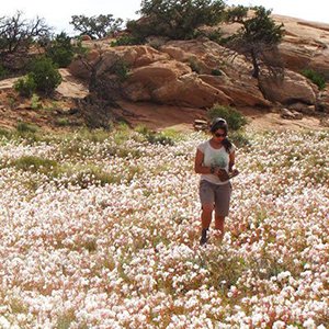 Woman collecting seeds in a field of native flowers