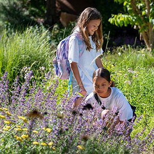 Two girls from Earth Connections Camp looking at flowers at Red Butte Garden.