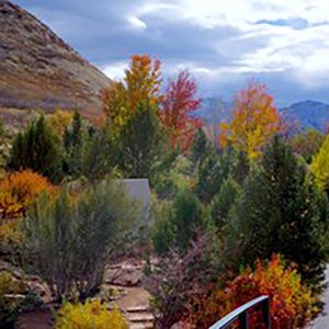Fall colored trees at Red Butte Garden
