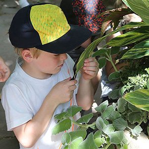 A boy taking a close look at a plant.