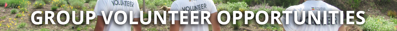 Group Volunteer Opportunities Banner