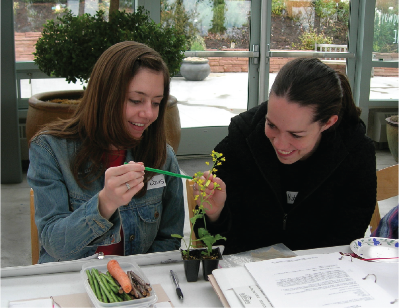 Educators pollinating Brassica at workshop
