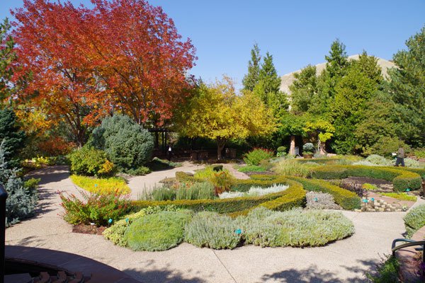 Herb-Garden-fall