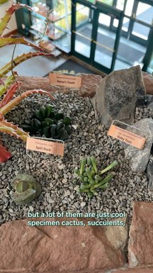 Happy Halloween! Just in time for spooky season, our Wonky Wall display is up in the visitor center right now, check out this little tour with Ben. And stay tuned for part two to learn all about how they cons...