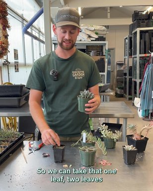 It’s already been over a month with your root-mate! Time flies when you’re a plant parent. Could it use some TLC? Or maybe your best friend is jealous, and you want to turn your one succulent into two? Well, ...