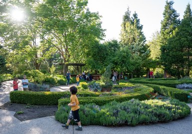 We are proud to partner with community organizations like Museums for All, CASA, and Sharetix to make the Garden accessible to as many people as possible, thanks in part to the generous support of the Kahlert Fo...