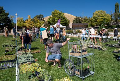 Get ready for our Fall Plant Sale, this weekend September 26 and 27 🍂  Fall is a great time to plant new treasures in your garden. We’ll have a great assortment of native plants, bulbs, and more! From penstemon ...