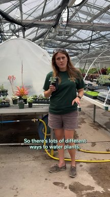 Hey there! It was great meeting you at one of our many campus events last month. Now that you and your new succulent are settling in, you’re probably wondering how to keep it alive. Lucky for you, our greenho...