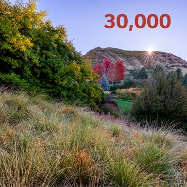 30,000 followers and friends of the Garden! Thank you to each and every one of you for your love and support 🧡 To celebrate, we're giving away a membership! Like this post to be entered, winner will be chosen on...
