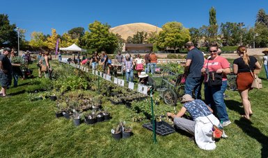 Join us at our Fall Plant Sale today, from 1-7PM 🍂 Shop a beautiful selection of spring-flowering bulbs, garlic bulbs, native plants, ornamental grasses, and more! @buzzedcoffeetruck will be serving coffee while...