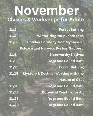 Check out all the amazing classes we have coming up in November 🍂 Head to the link in our bio to learn more and sign up today.