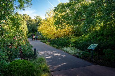 In recognition of Ezekiel "Zeke" Dumke, Jr. and his visionary role in the creation of Red Butte Garden & Arboretum, the first Monday of every October (today!) is a free admission day thanks to Salt Lake County Z...