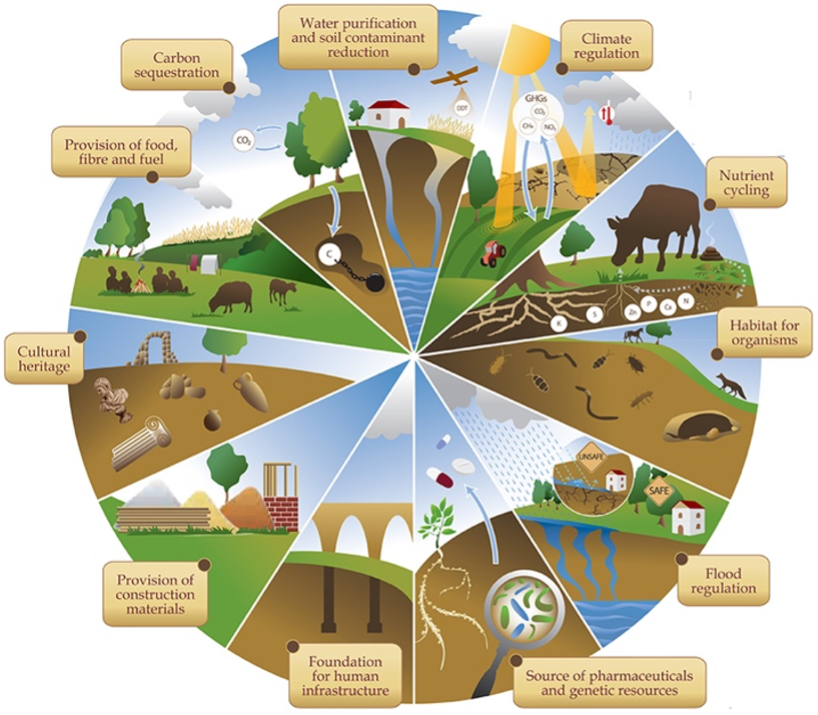 Intro to soils - full cylcle