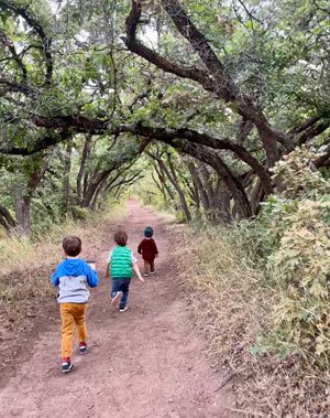 Kids-in-Oak-Tunnel-300