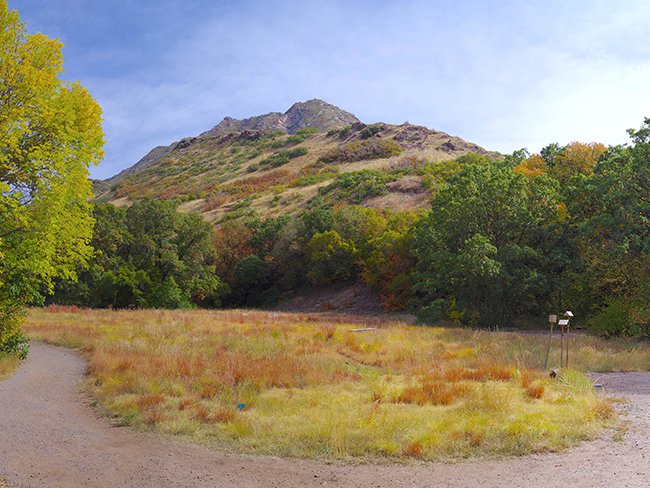 Meadow Pano 2 JWB22 copy