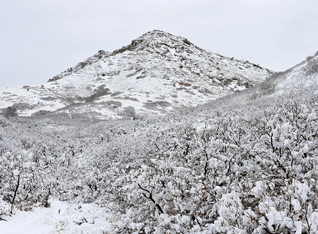 NA Red Butte Winter 1 GLE25