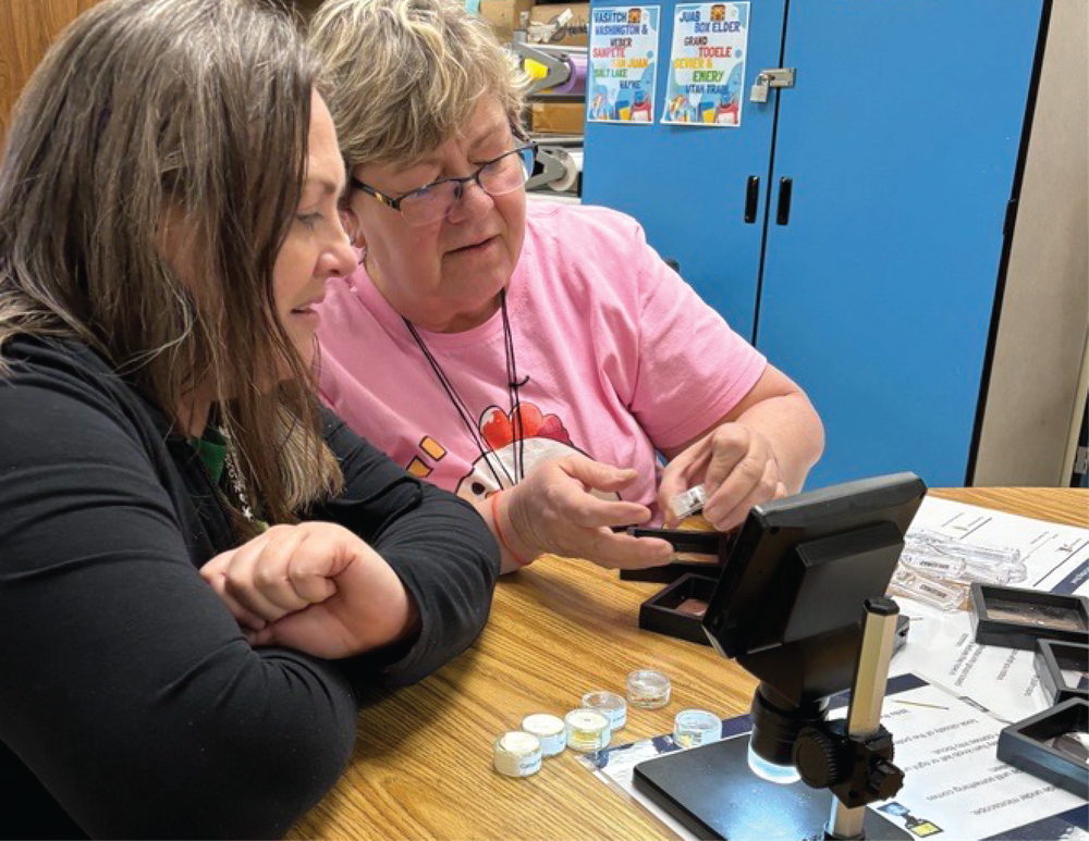 Educators engaging in Polleneighbor workshop