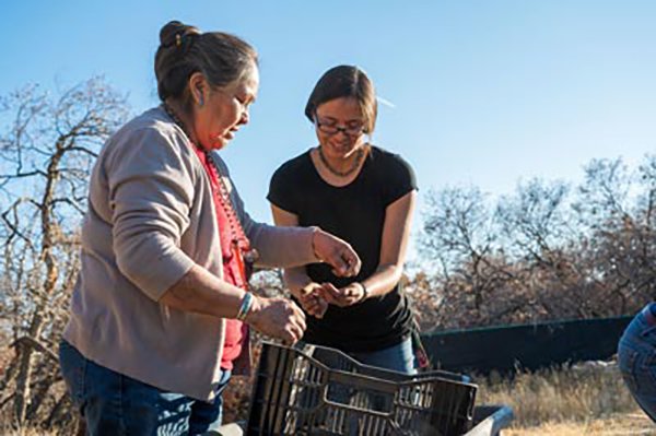 Potato farming Red Butte 11-2019 402