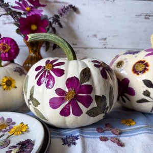 White pumpkins decorated with magenta dried flowers and green leaves