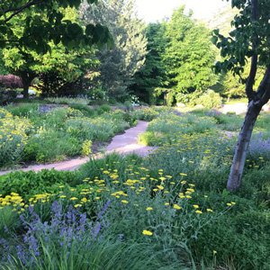 Red Butte Garden Fragrance Garden