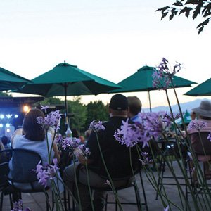 Guests seated on the Eccles Terrace in the Red Butte Garden Amphitheatre