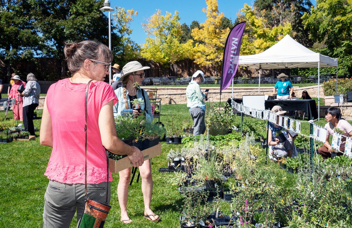 Purchase plants at Red Butte Garden's Fall Plant Sale