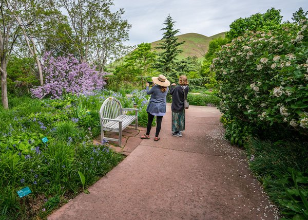 RBG-Floral-Walk-May-2019-600