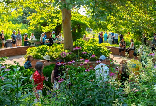 People gathering in the Medicinal Garden at Red Butte Garden