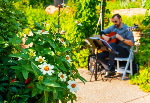 Musician playing guitar at Red Butte Garden