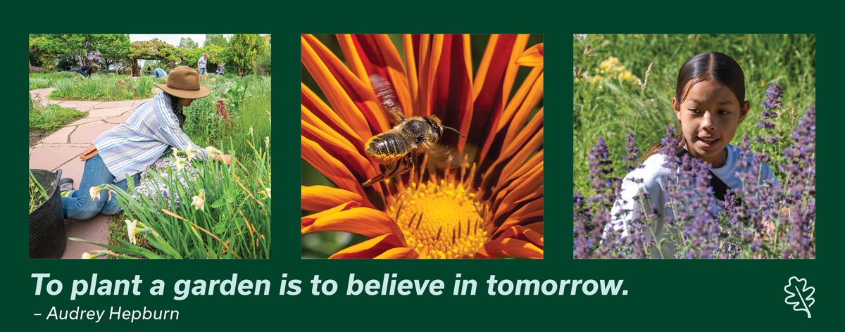 Red Butte Garden annual appeal brochure cover art with photos of volunteers, children, and plants.