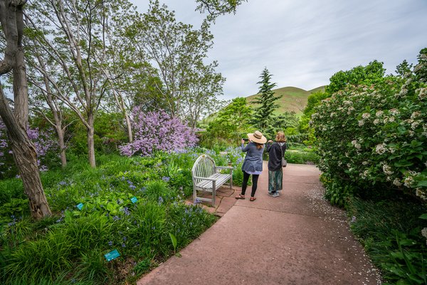 RBG Floral Walk May 2019