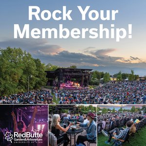 Concertgoers enjoying a concert in the Red Butte Garden Amphitheatre