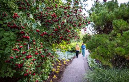 People walking in the Four Seasons Garden at Red Butte Garden