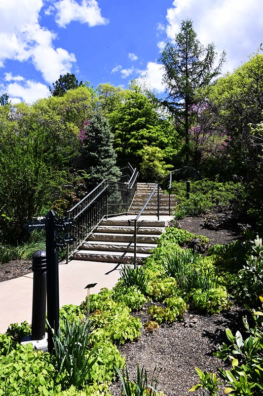 Rose-Garden-Spring-GLE25