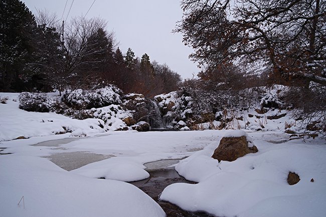 Rose-Garden-Waterfall-Winter-HMS23