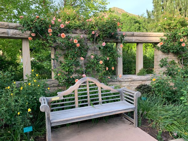 Rose-Garden-bench-21-KR
