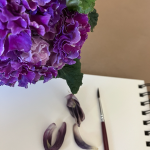 DiscoveringBotanicalColors