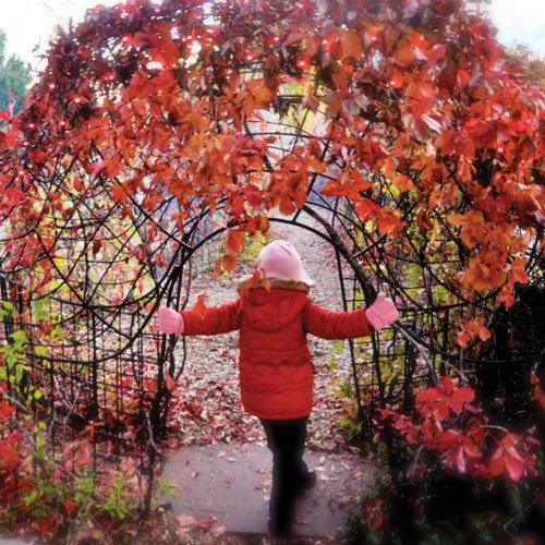 So-Much-to-Fall-For-500